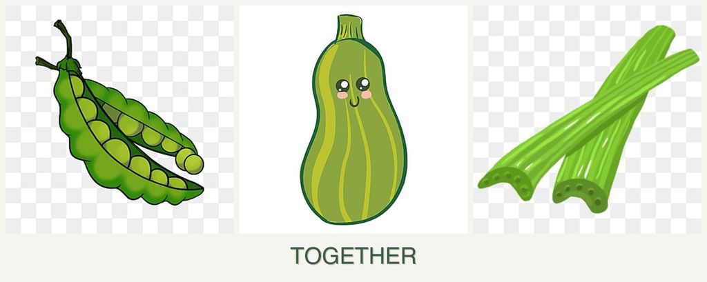 Can you plant peas, zucchini and celery together?