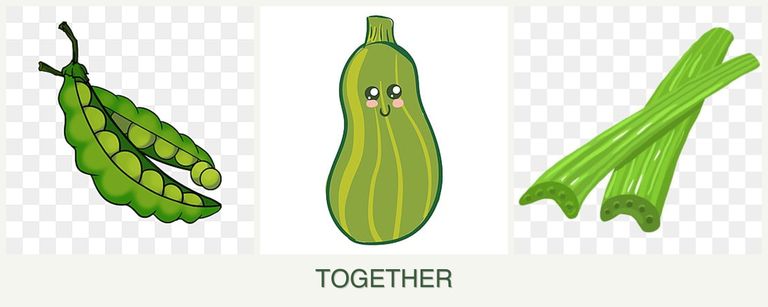 Can you plant peas, zucchini and celery together?