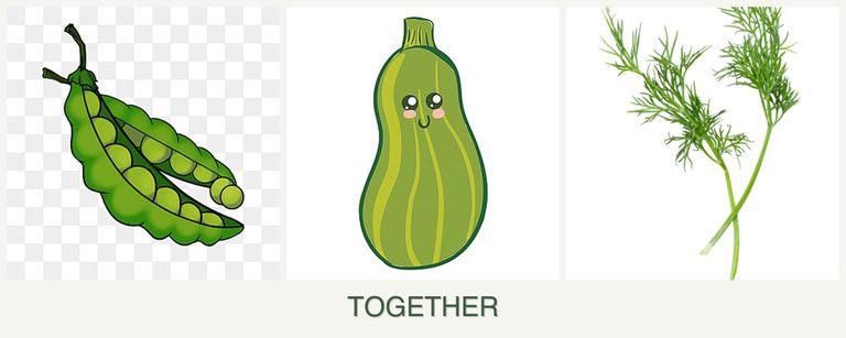 Can you plant peas, zucchini and dill together?
