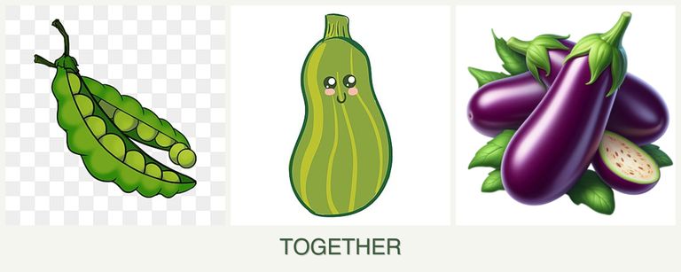 Can you plant peas, zucchini and eggplant together?