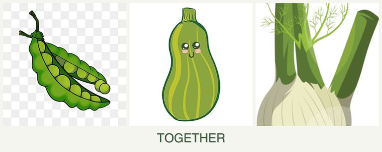 Can you plant peas, zucchini and fennel together?