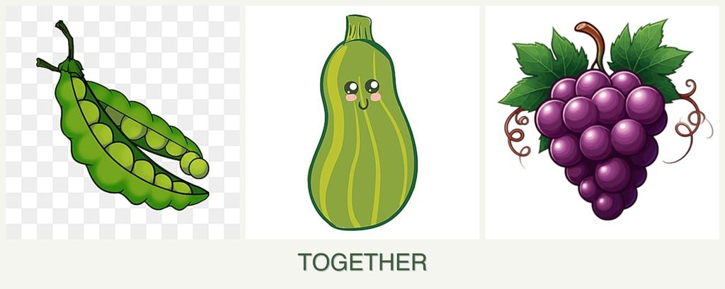 Can you plant peas, zucchini and grapes together?