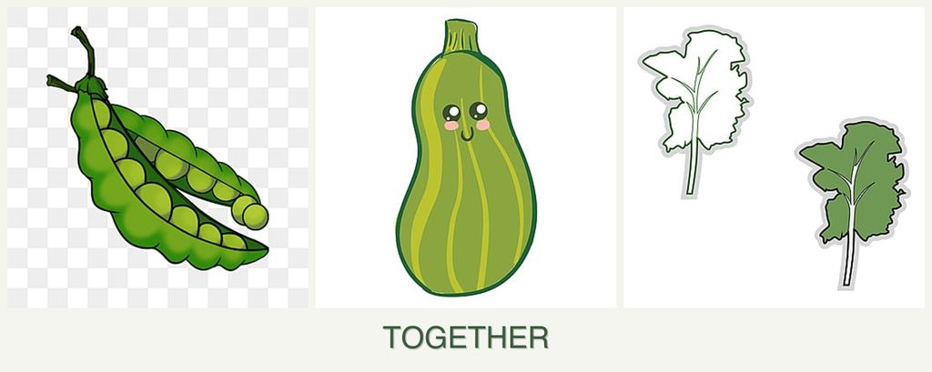 Can you plant peas, zucchini and kale together?