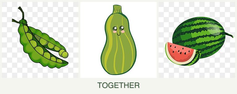 Can you plant peas, zucchini and melons together?