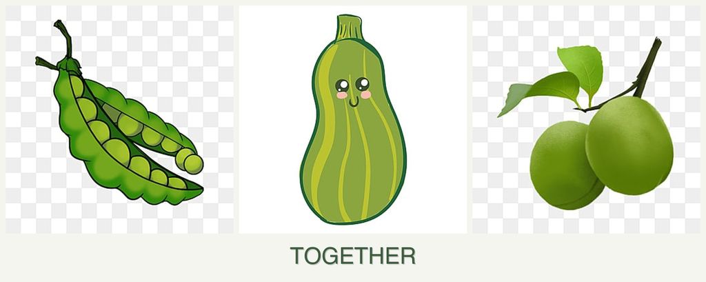 Can you plant peas, zucchini and plums together?