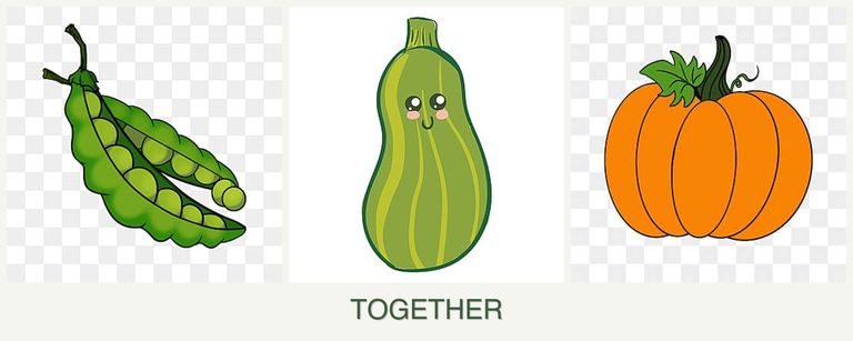 Can you plant peas, zucchini and pumpkin together?