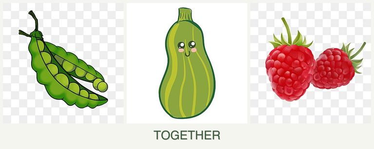 Can you plant peas, zucchini and raspberries together?