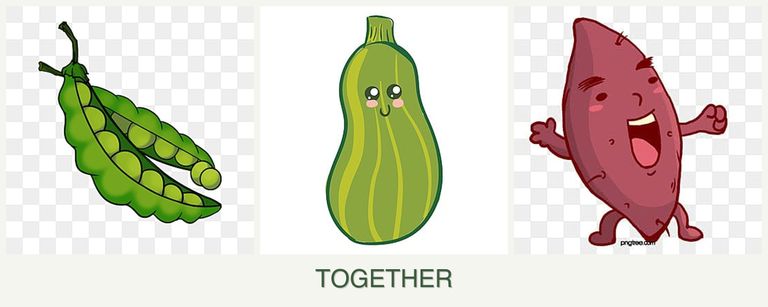 Can you plant peas, zucchini and sweet potatoes together?