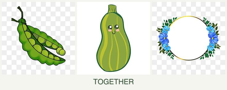 Can you plant peas, zucchini and zinnias together?