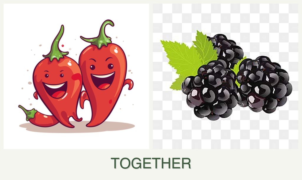 Can you plant peppers and blackberries together?