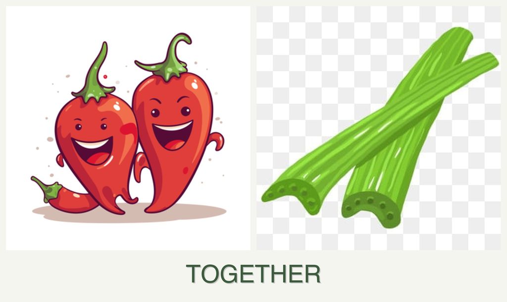 Can you plant peppers and celery together?