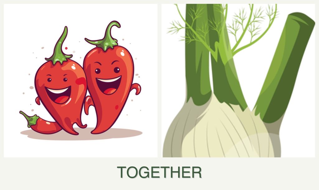 Can you plant peppers and fennel together?