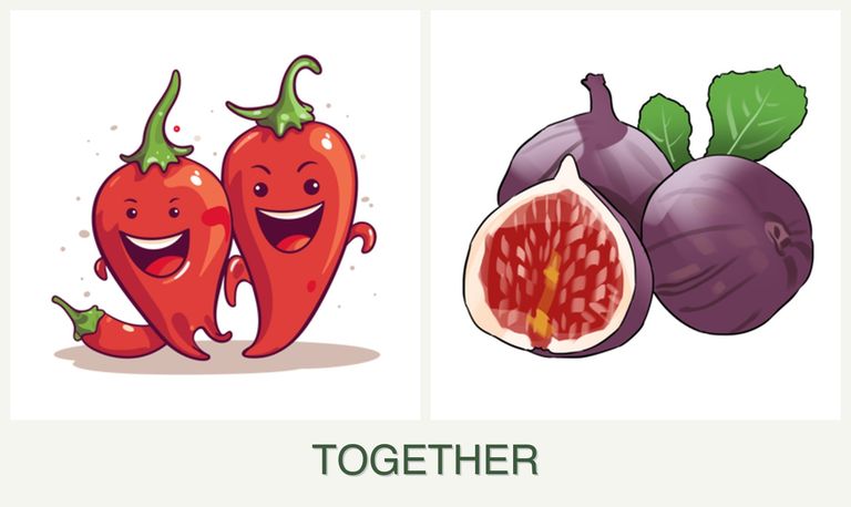 Can you plant peppers and figs together?