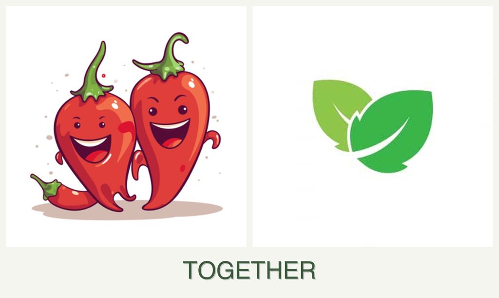 Can you plant peppers and mint together?