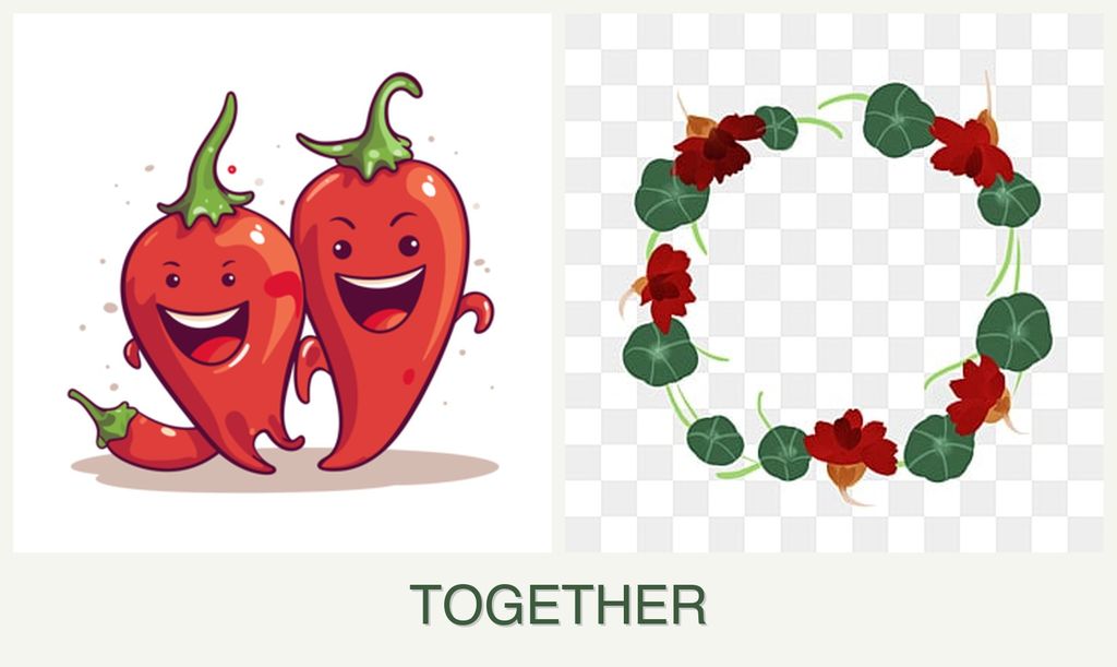 Can you plant peppers and nasturtiums together?