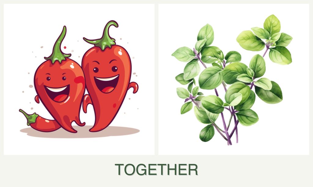 Can you plant peppers and oregano together?