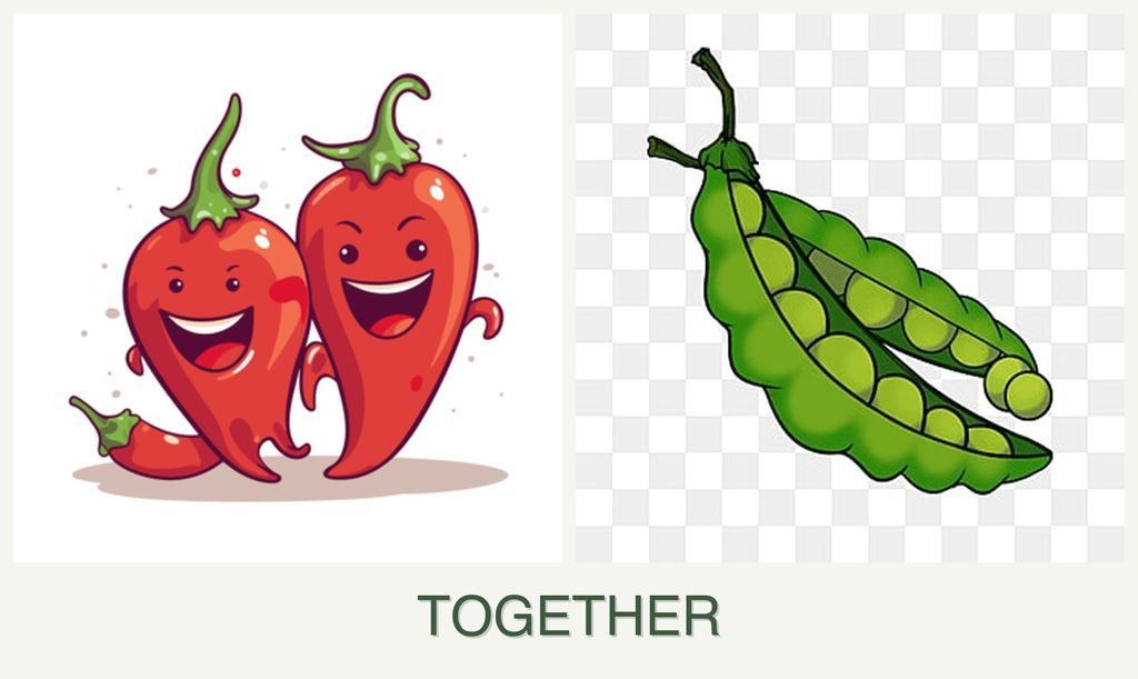 Can you plant peppers and peas together?