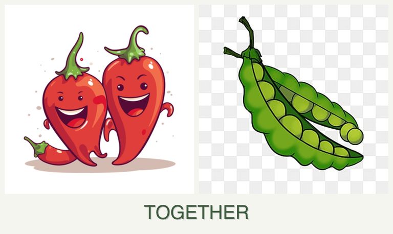 Can you plant peppers and peas together?