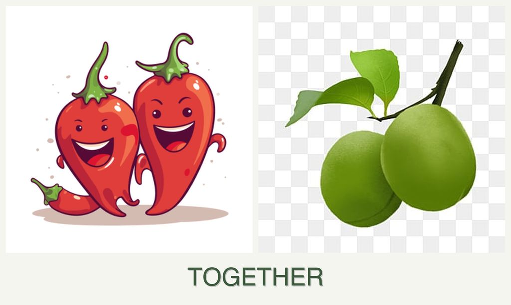 Can you plant peppers and plums together?