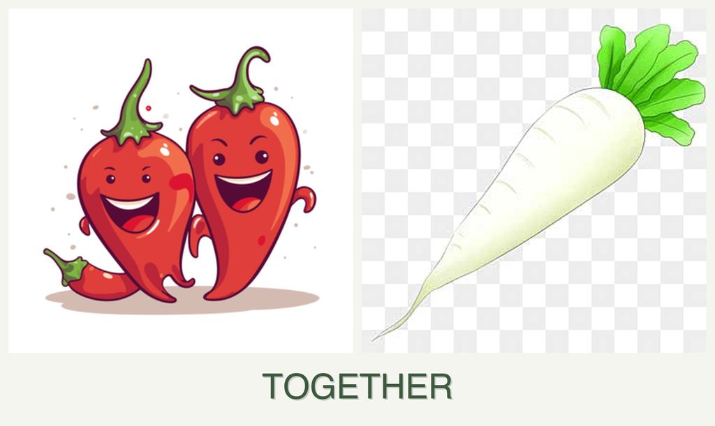 Can you plant peppers and radishes together?