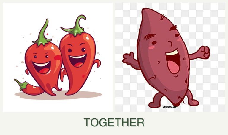 Can you plant peppers and sweet potatoes together?