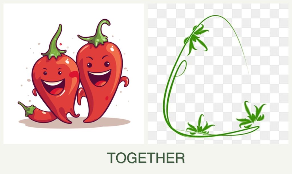 Can you plant peppers and tarragon together?