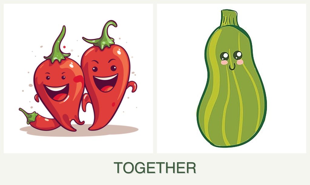 Can you plant peppers and zucchini together?