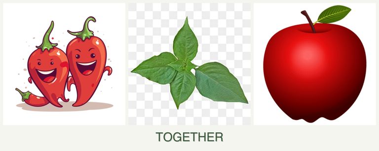 Can you plant peppers, basil and apples together?