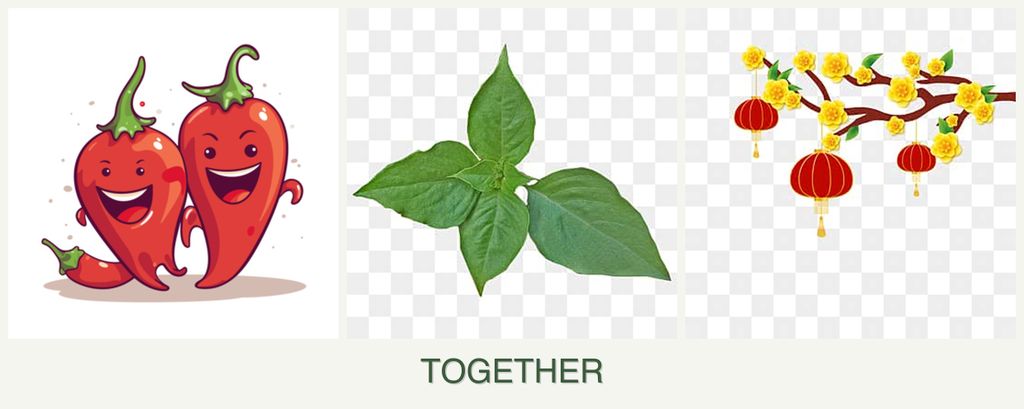 Can you plant peppers, basil and apricots together?