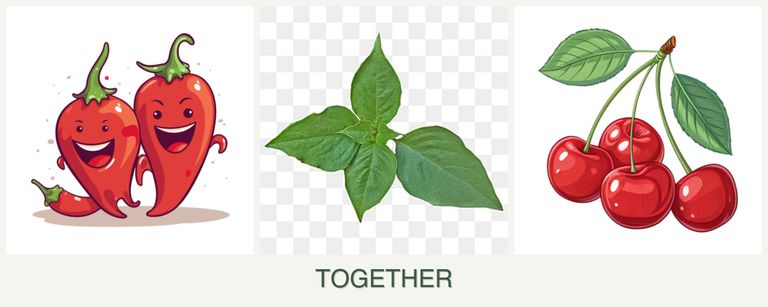 Can you plant peppers, basil and cherries together?