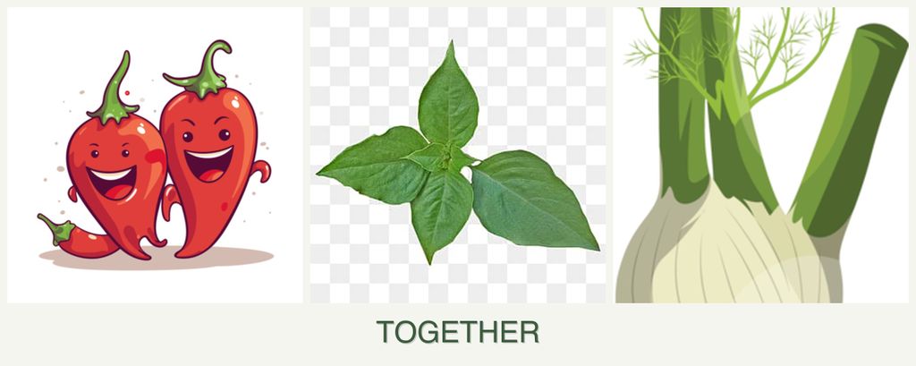 Can you plant peppers, basil and fennel together?