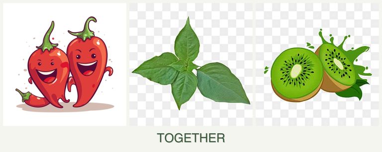 Can you plant peppers, basil and kiwi together?
