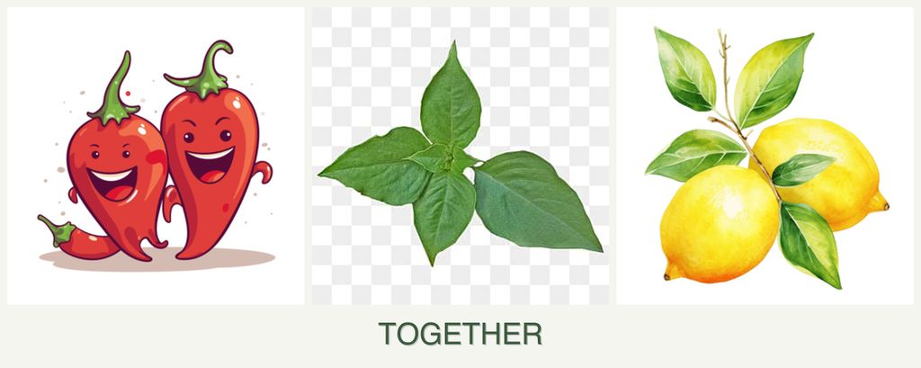 Can you plant peppers, basil and lemons together?