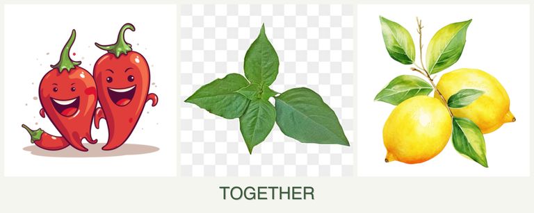 Can you plant peppers, basil and lemons together?