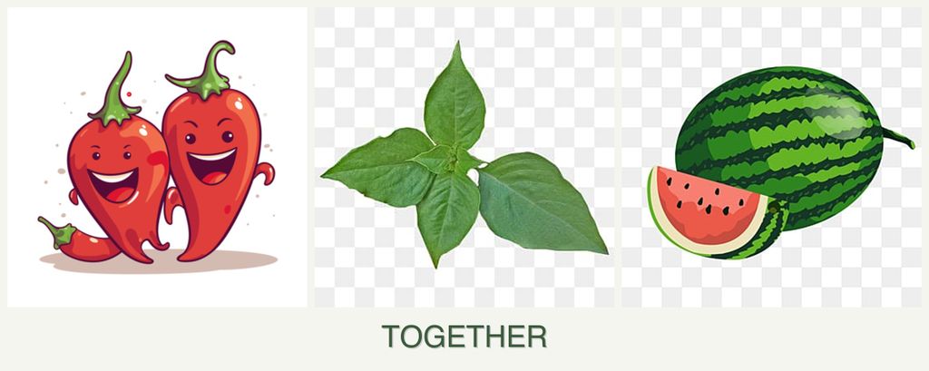 Can you plant peppers, basil and melons together?