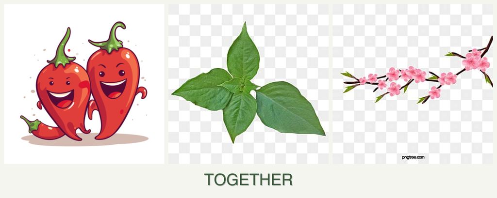 Can you plant peppers, basil and peaches together?