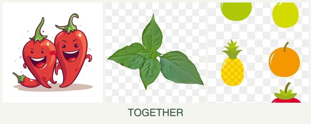 Can you plant peppers, basil and pears together?