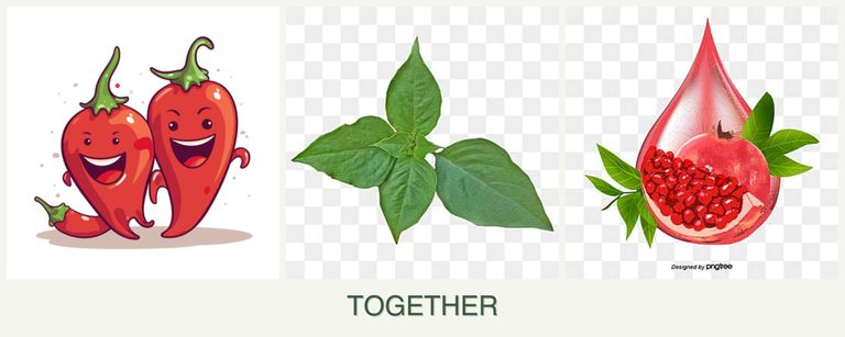 Can you plant peppers, basil and pomegranates together?