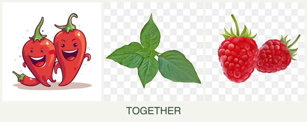 Can you plant peppers, basil and raspberries together?