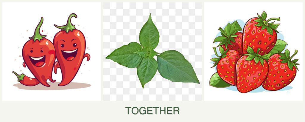 Can you plant peppers, basil and strawberries together?