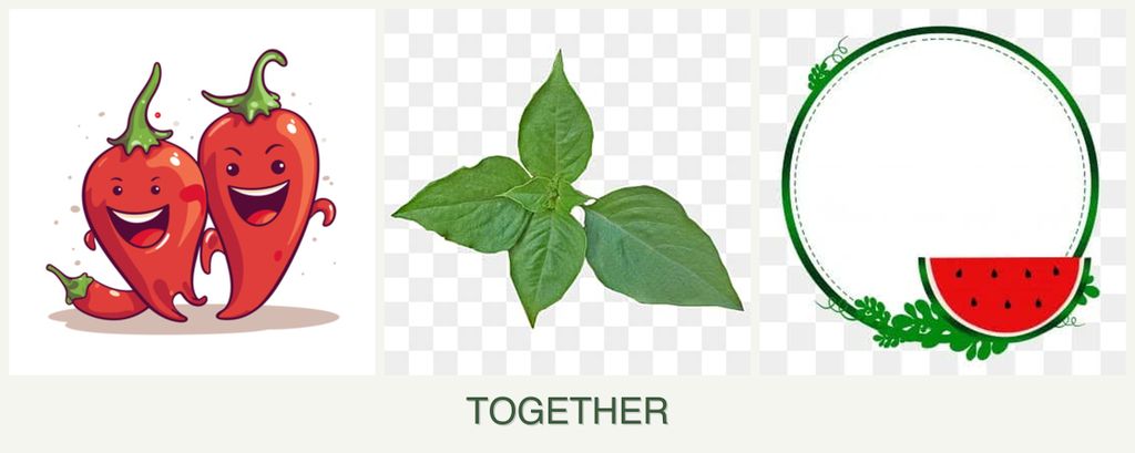 Can you plant peppers, basil and watermelons together?