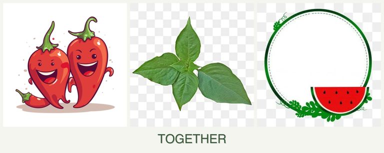 Can you plant peppers, basil and watermelons together?