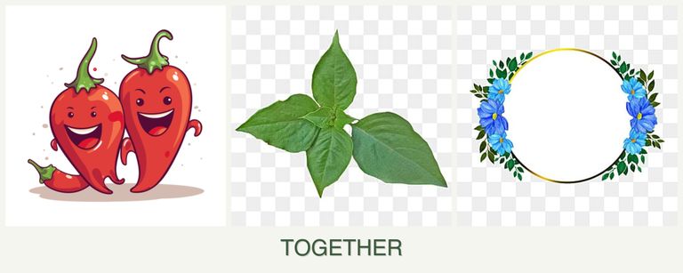 Can you plant peppers, basil and zinnias together?