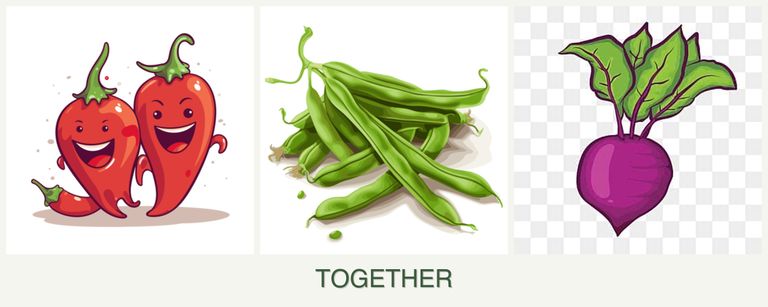 Can you plant peppers, beans and beets together?