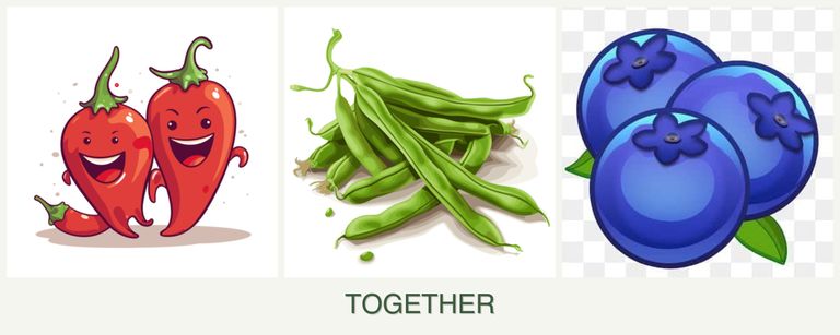 Can you plant peppers, beans and blueberries together?