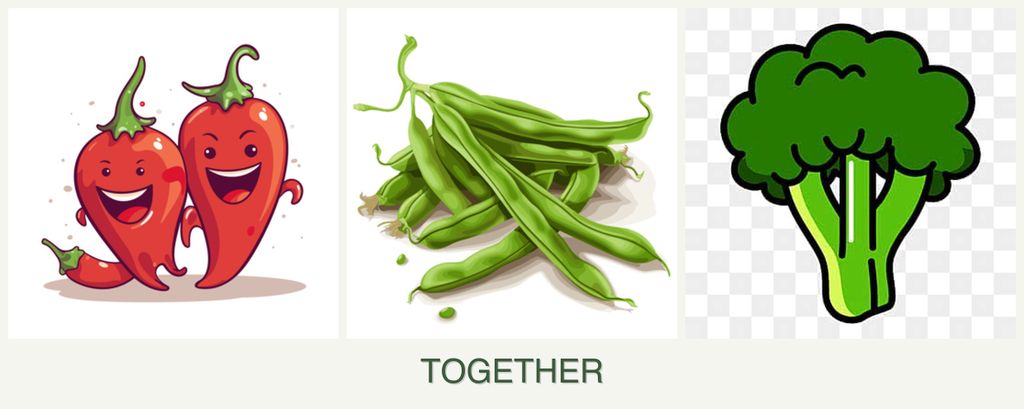 Can you plant peppers, beans and broccoli together?