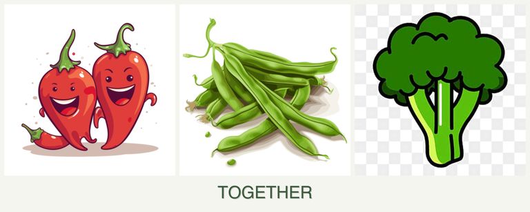 Can you plant peppers, beans and broccoli together?