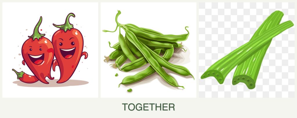 Can you plant peppers, beans and celery together?