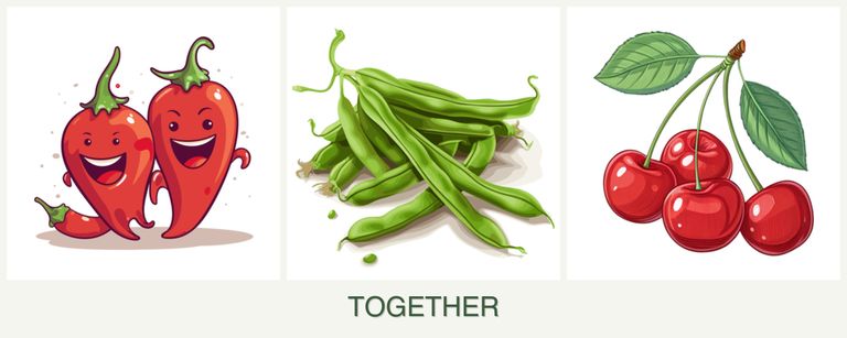Can you plant peppers, beans and cherries together?
