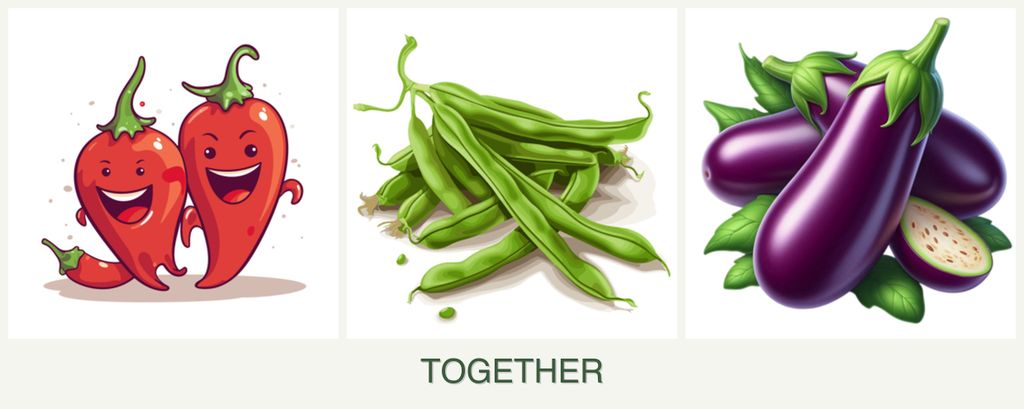 Can you plant peppers, beans and eggplant together?